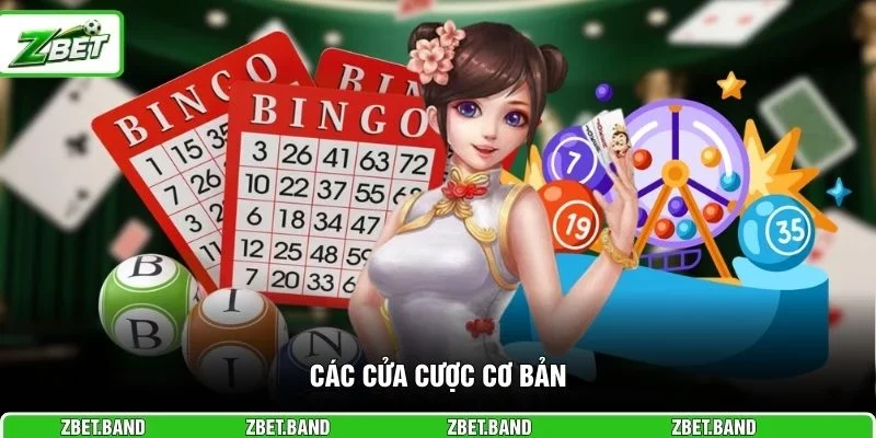 Các cửa cược cơ bản 