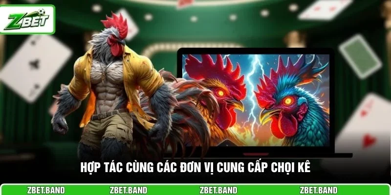 Hợp tác cùng các đơn vị cung cấp chọi kê