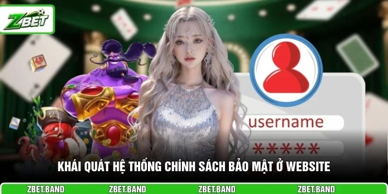 Khái quát hệ thống chính sách bảo mật ở website