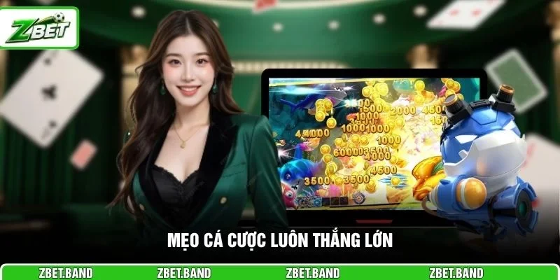 Mẹo cá cược luôn thắng lớn 