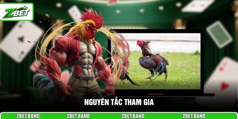 Nguyên tắc tham gia 